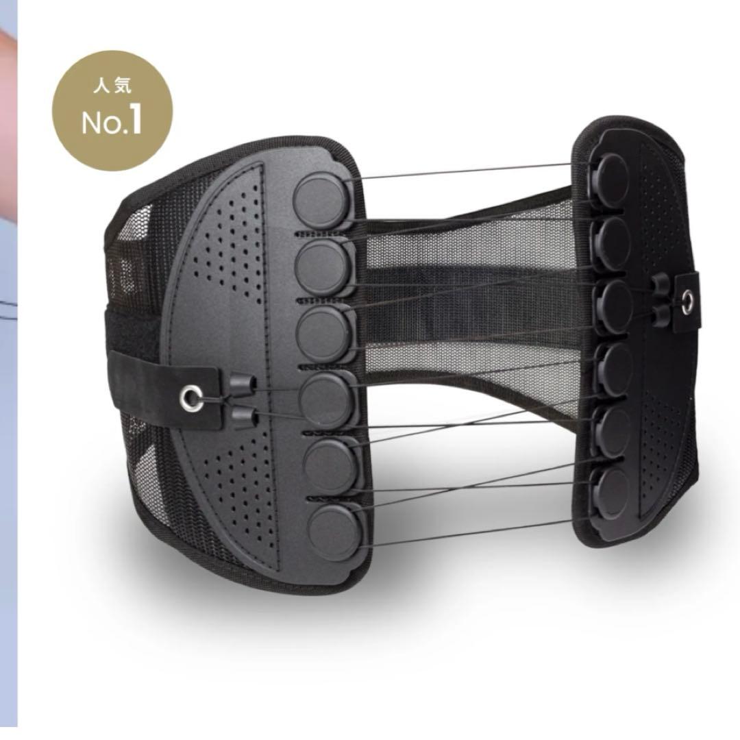 ガードナーベルトL 正規品