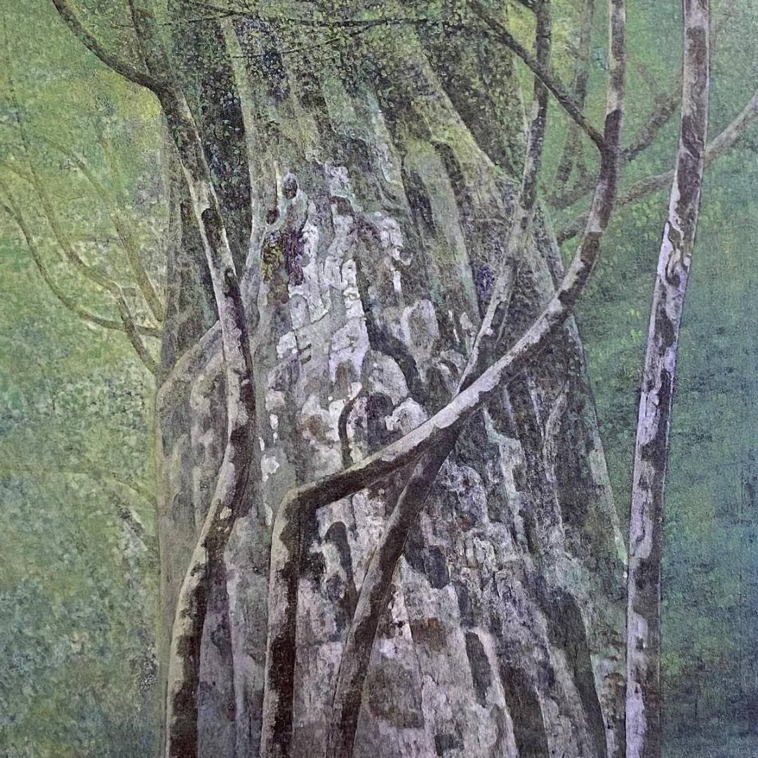 佐々木豊、【杜】、希少な額装用画集より、新品額装付、状態良好