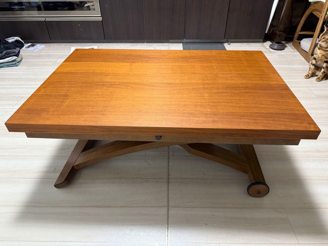 【フロイト】カリガリス・テーブル（2/3）