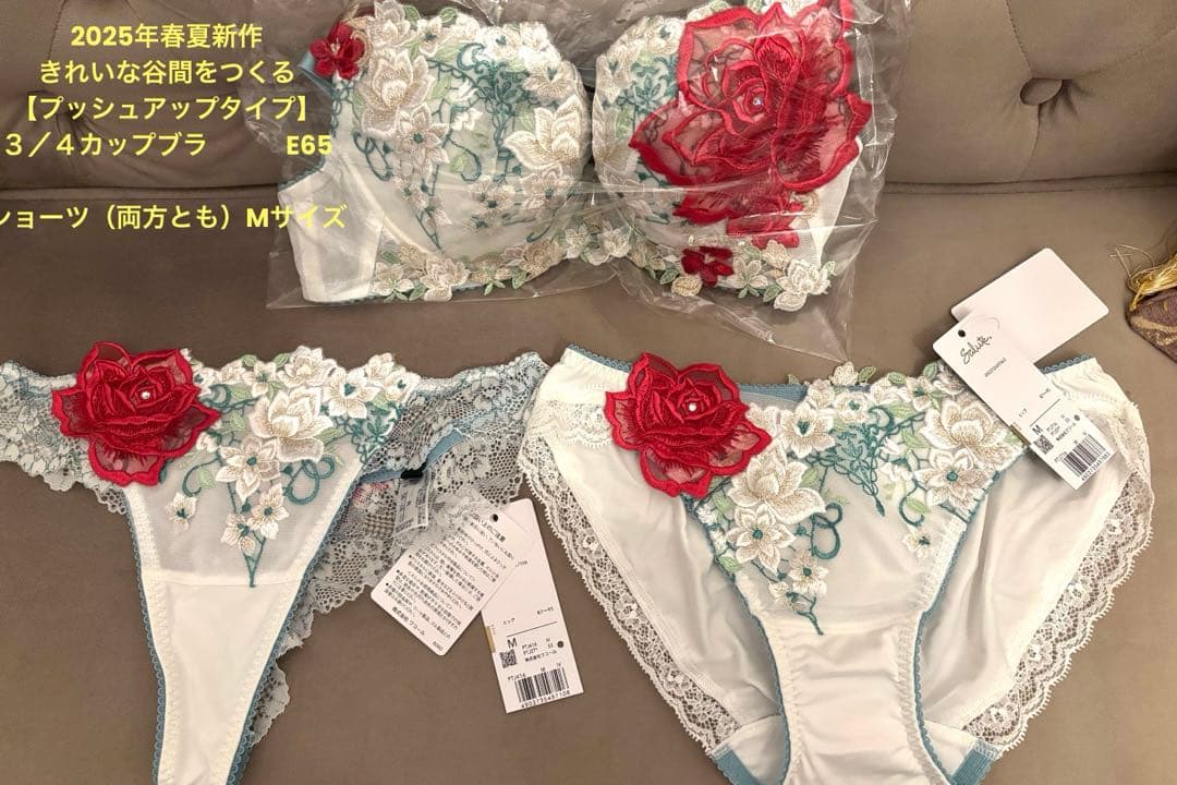 新作Salute サルートブラジャー+ショーツ2型の3点セット　E65＆Mサイズ