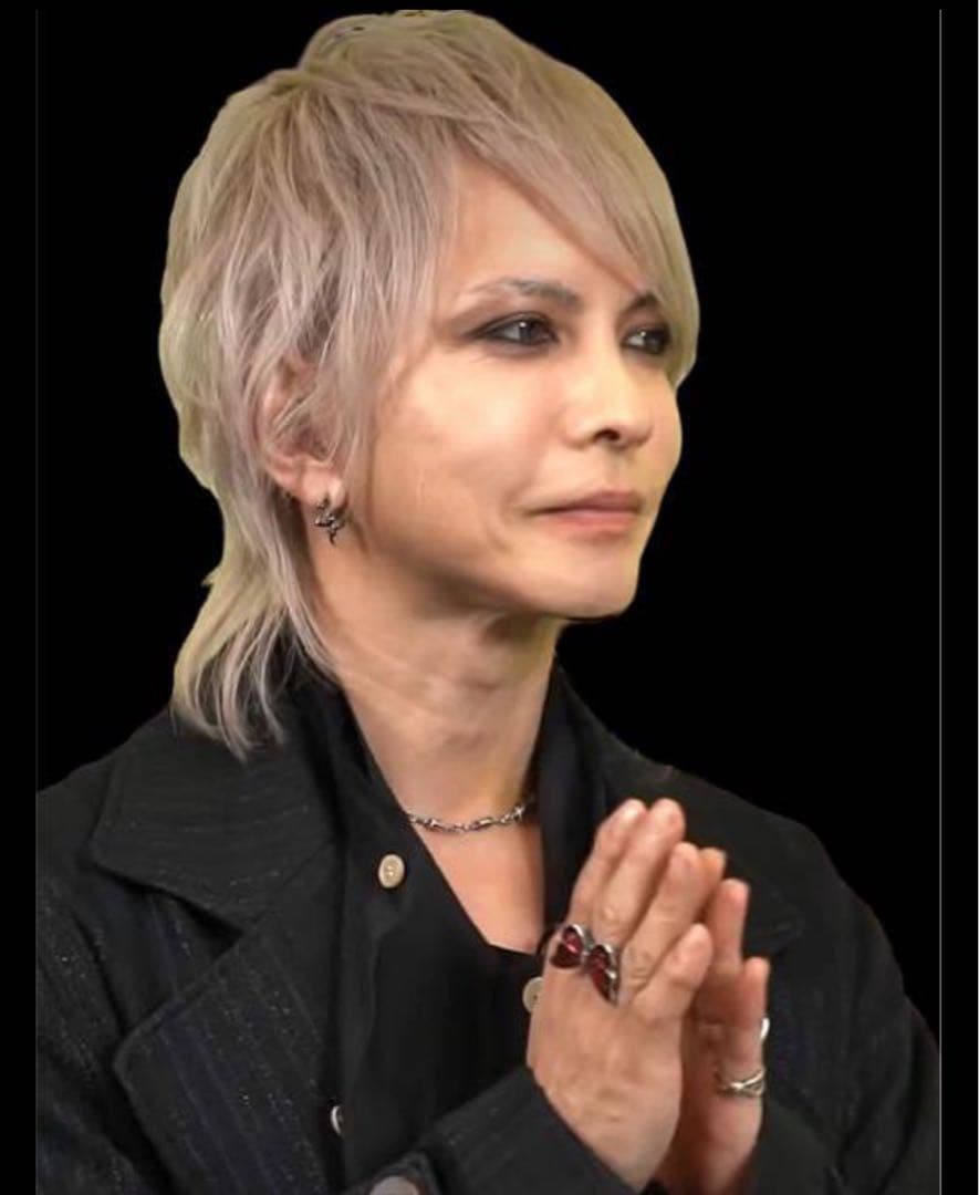 hyde 着用 リリーエルランドソン lyly erlandsson 赤蝶リング - メルカリ