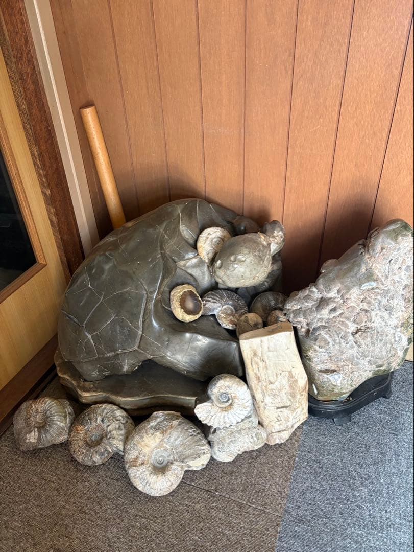 石製 亀と貝の彫刻 大