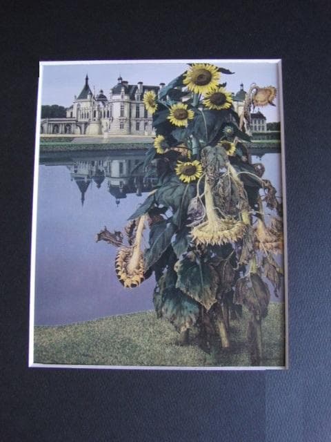 玉之内満雄、【栄枯】、希少な大判額装用画集より、美品、日本人画家