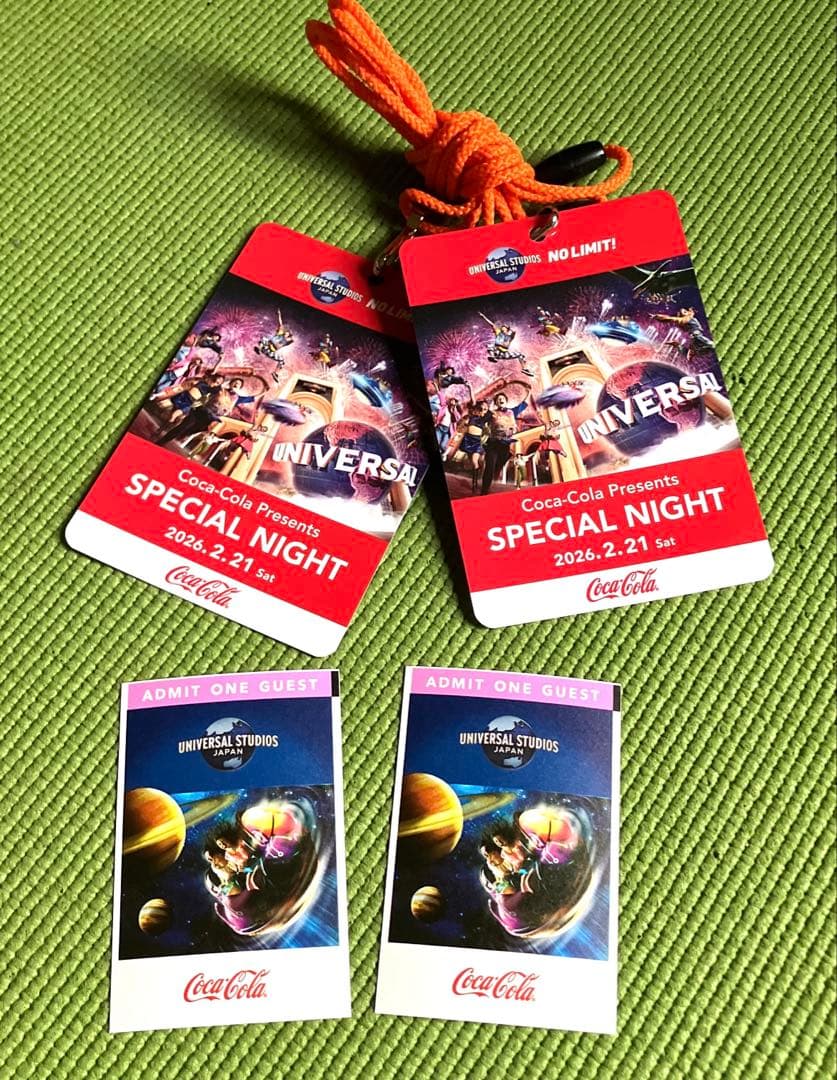 2026年2月21日(土) USJ 貸切ナイト ペアチケット - メルカリ