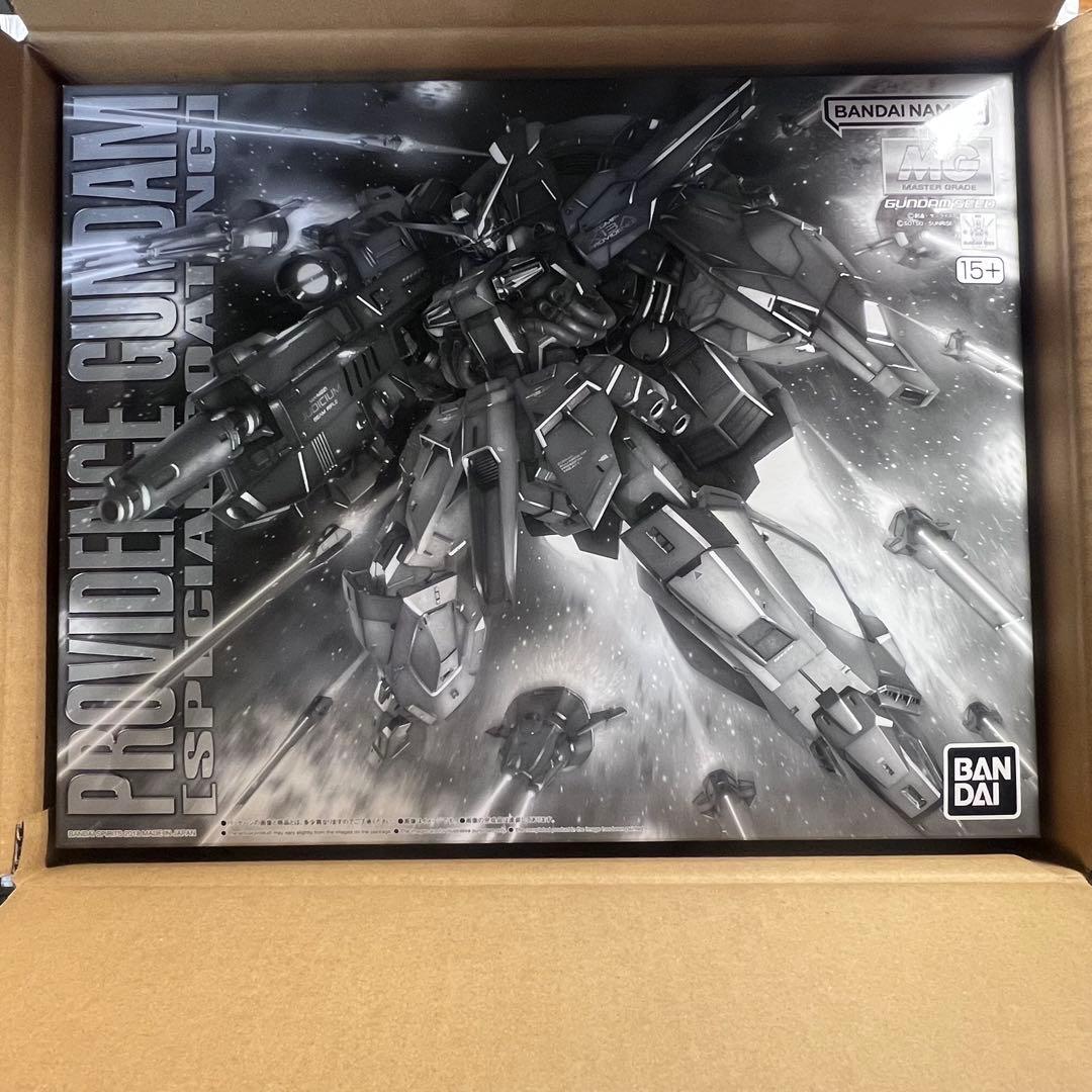 【新品】ＭＧ 1/100 プロヴィデンスガンダム スペシャルコーティング
