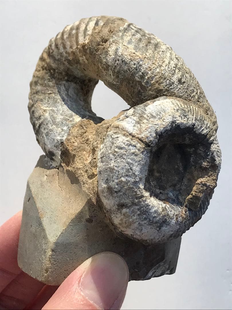 Mew様 リクエスト 3点 まとめ商品 らいふ様 リクエスト 3点 まとめ商品 - メルカリ