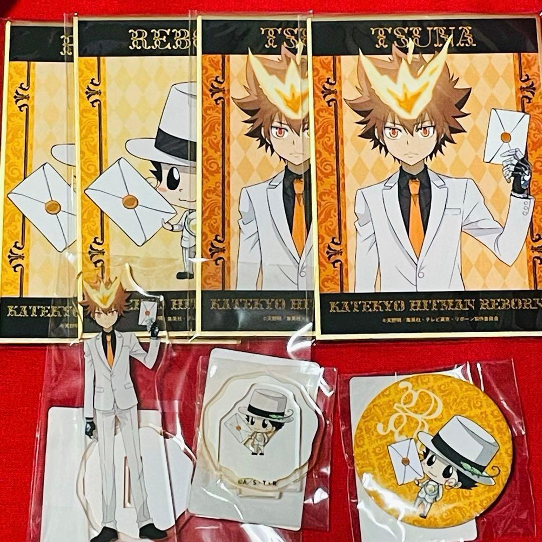 家庭教師ヒットマンREBORN! ホワイトスーツ アクスタ 沢田綱吉 色紙