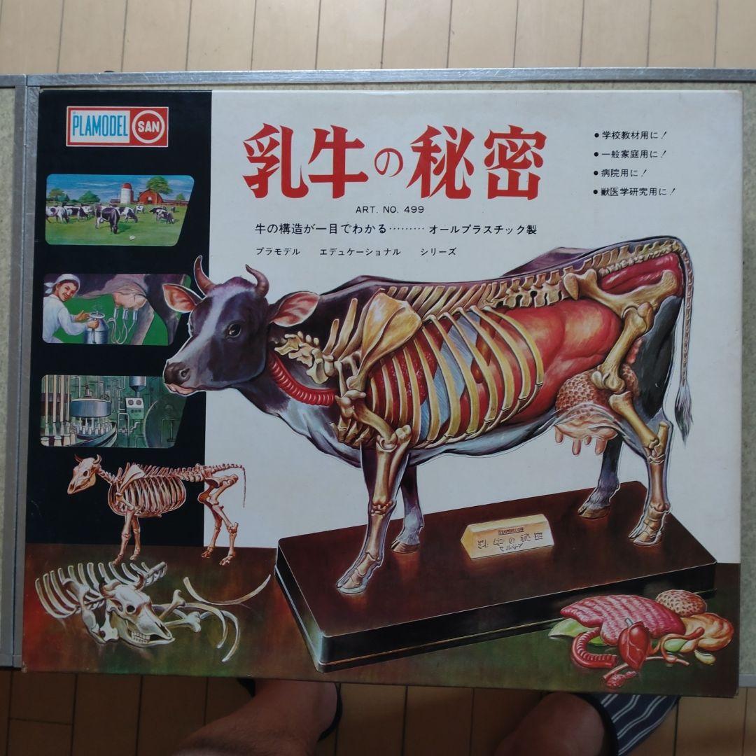 年始セール。マルサン　乳牛の秘密　プラモデル