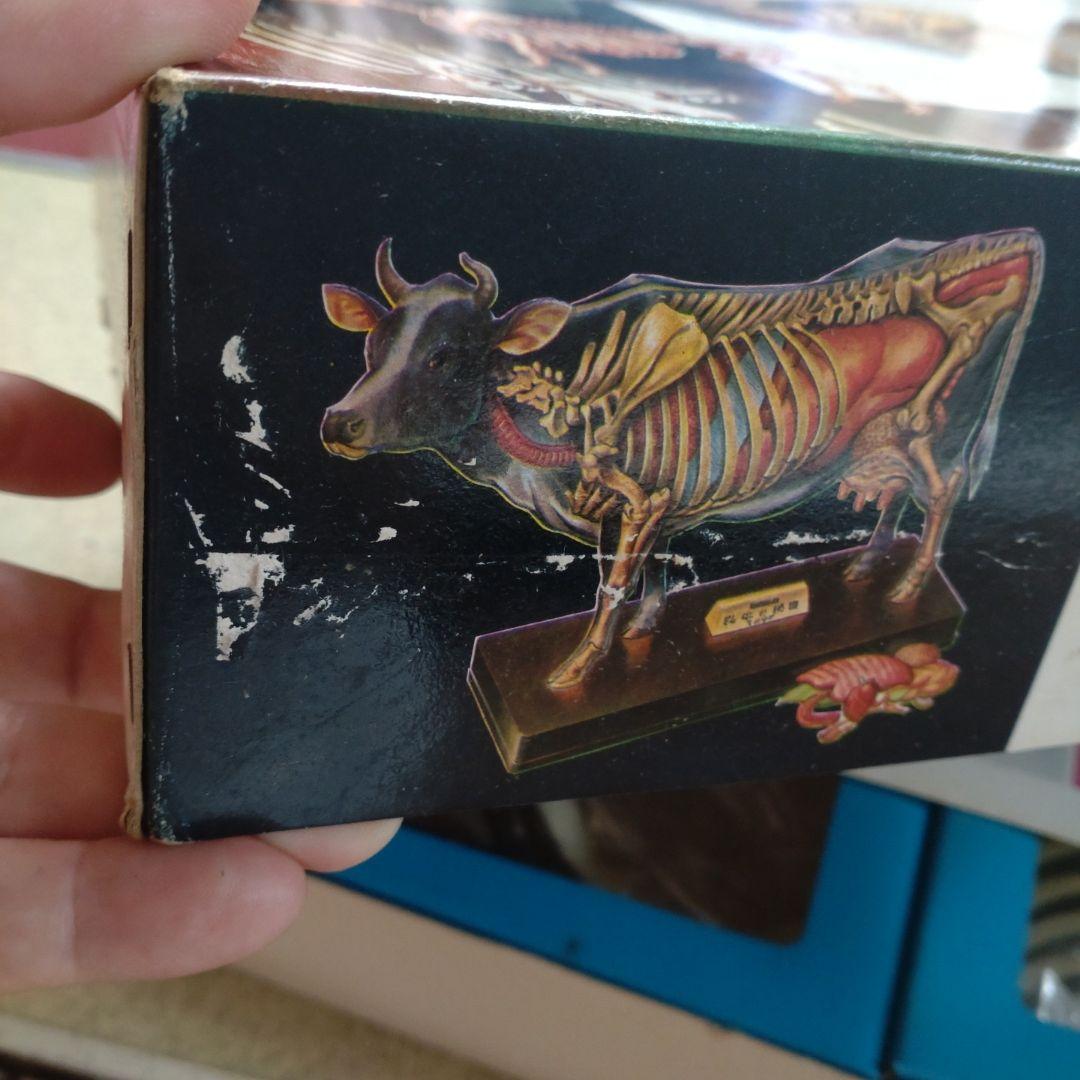 年始セール。マルサン 乳牛の秘密 プラモデル