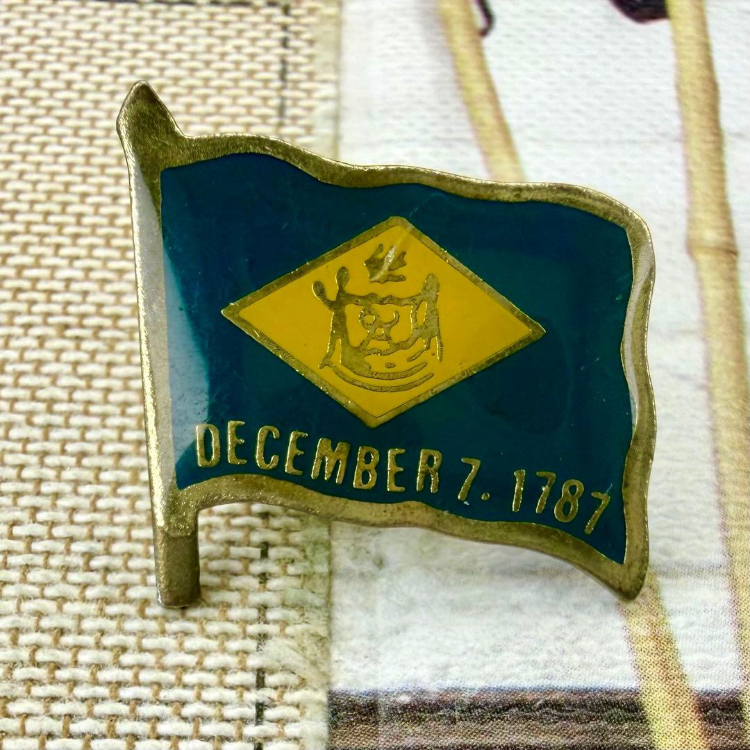 6446 デラウェア州 vintageピンバッジピンズ ヴィンテージ ビンテージ