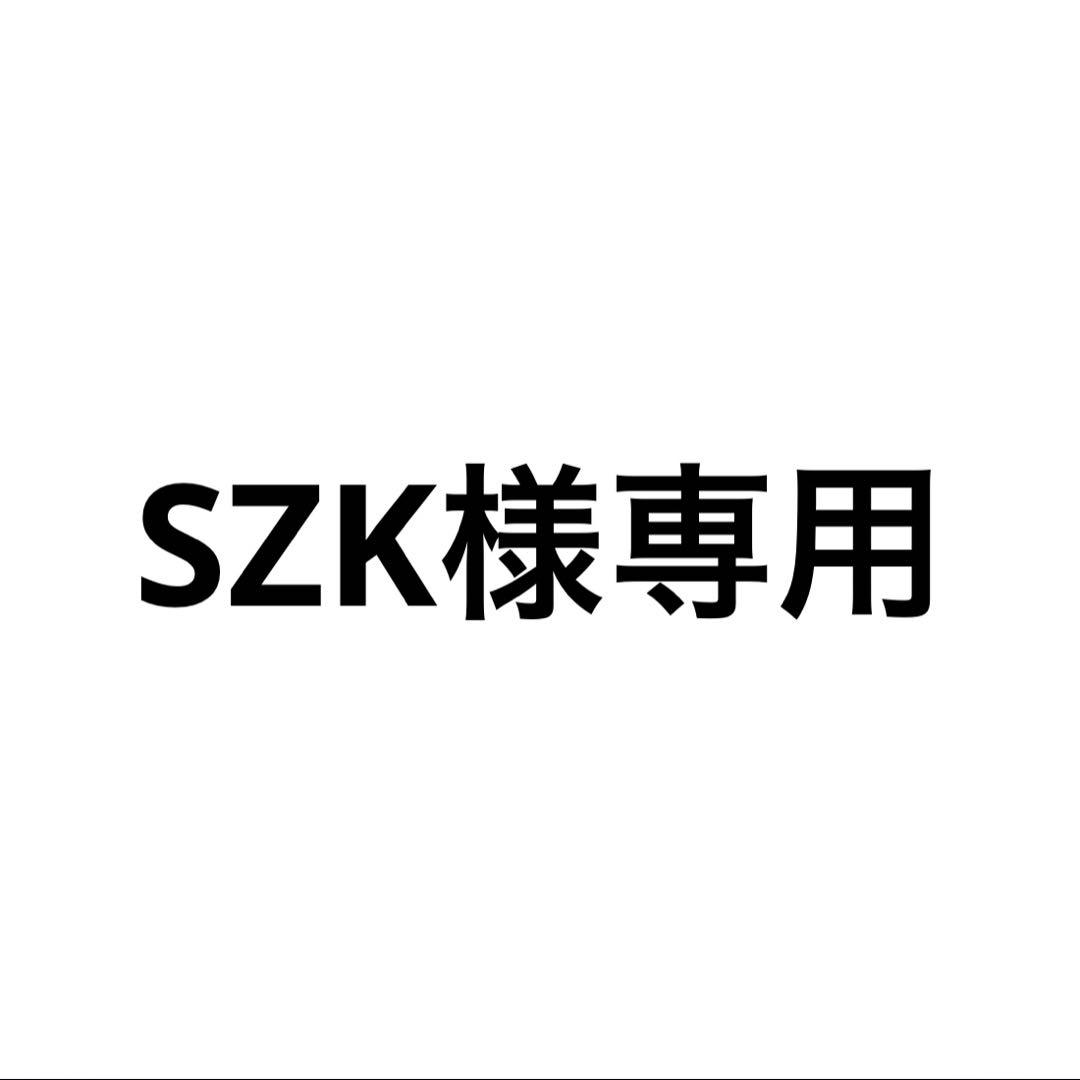 SZK 【セクシーカード】レギュラーサイズ　両面