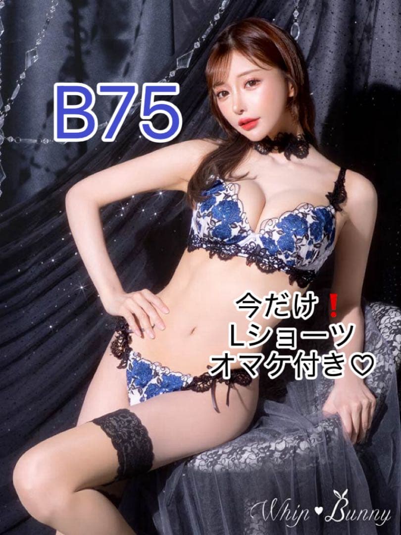 【希少レア大人気】ゴージャスシャインローズチョーカーブラ＆Tバック【B75】青
