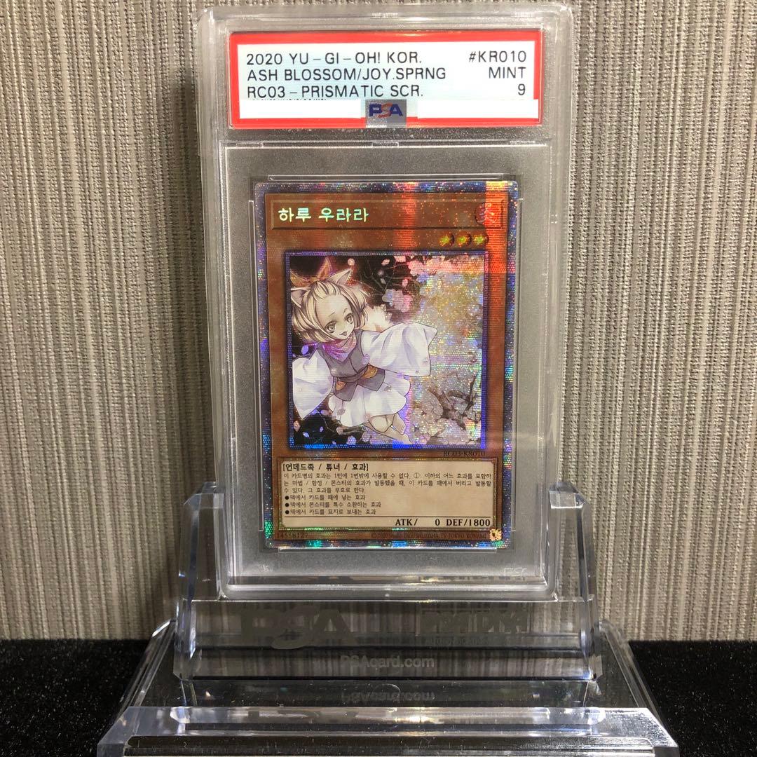遊戯王 灰流うらら プリシク 韓国語 PSA 鑑定品