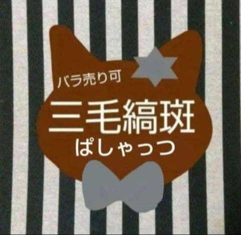 あんスタ 斑 ぱしゃっつ 笑門来福 カバーソング フェア TRIP 9周年 特典