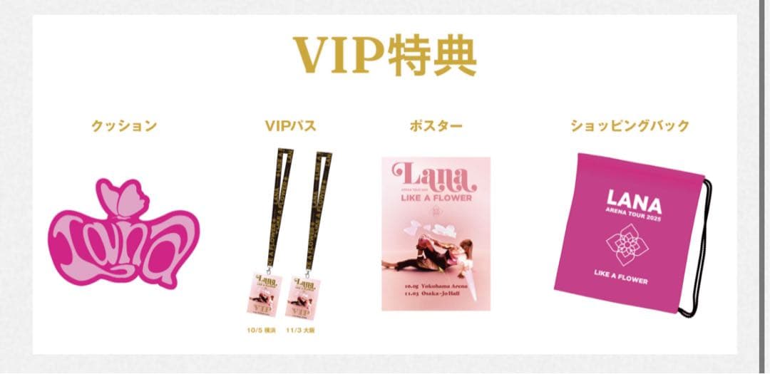 Lana ARENA TOUR 2025 VIP特典クッション - メルカリ