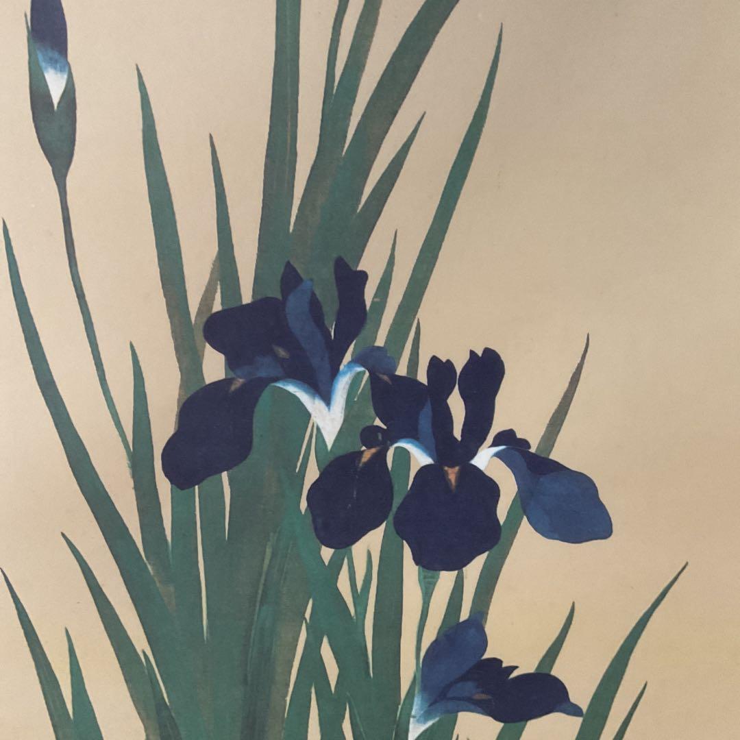 さっちゃん様 専用 酒井抱一筆 燕子花水鳥図 復刻版 1500部内924番