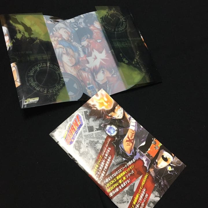 家庭教師ヒットマンREBORN 切り抜き【カラー 非売品 冊子・ブック