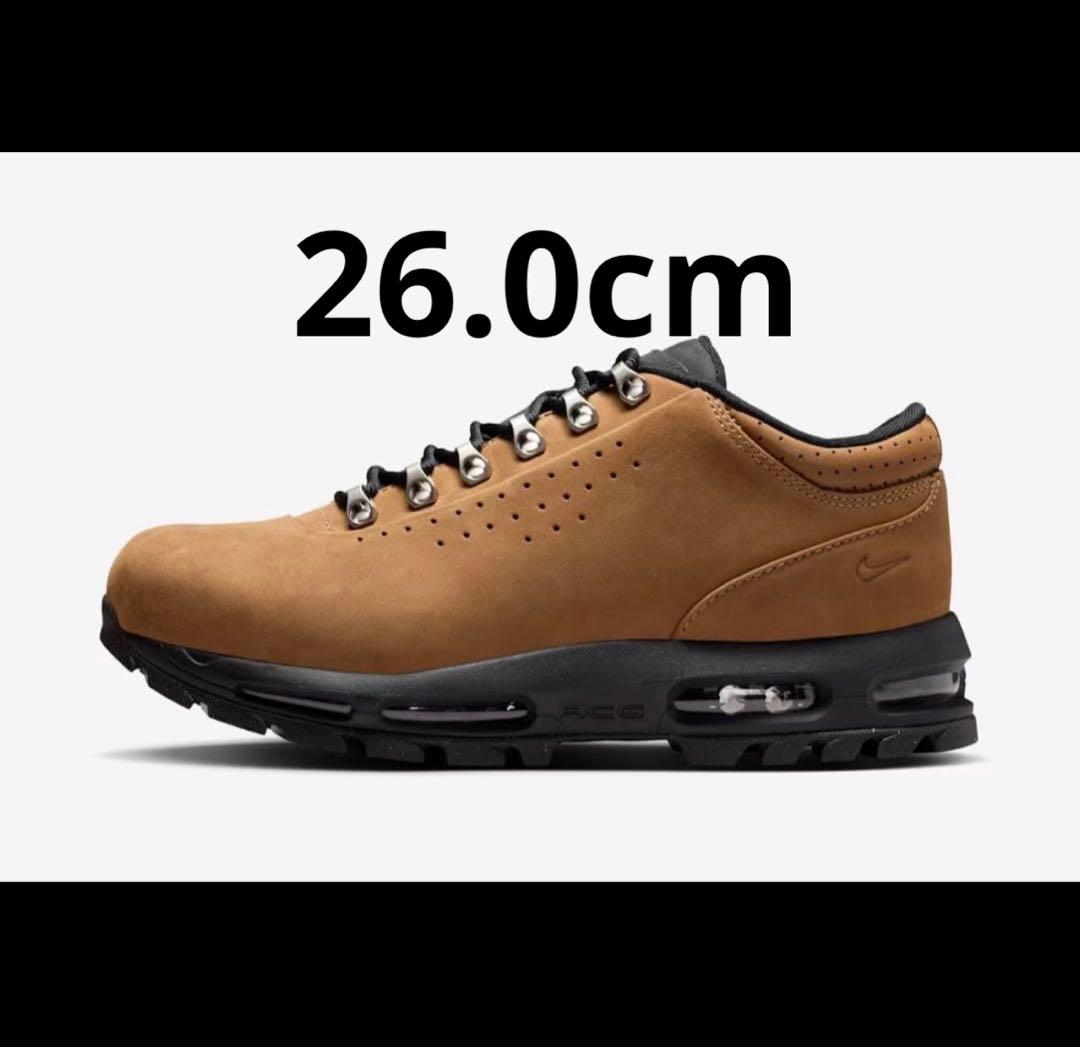 靴 Nike Air Max Goadome Low SP Taupe