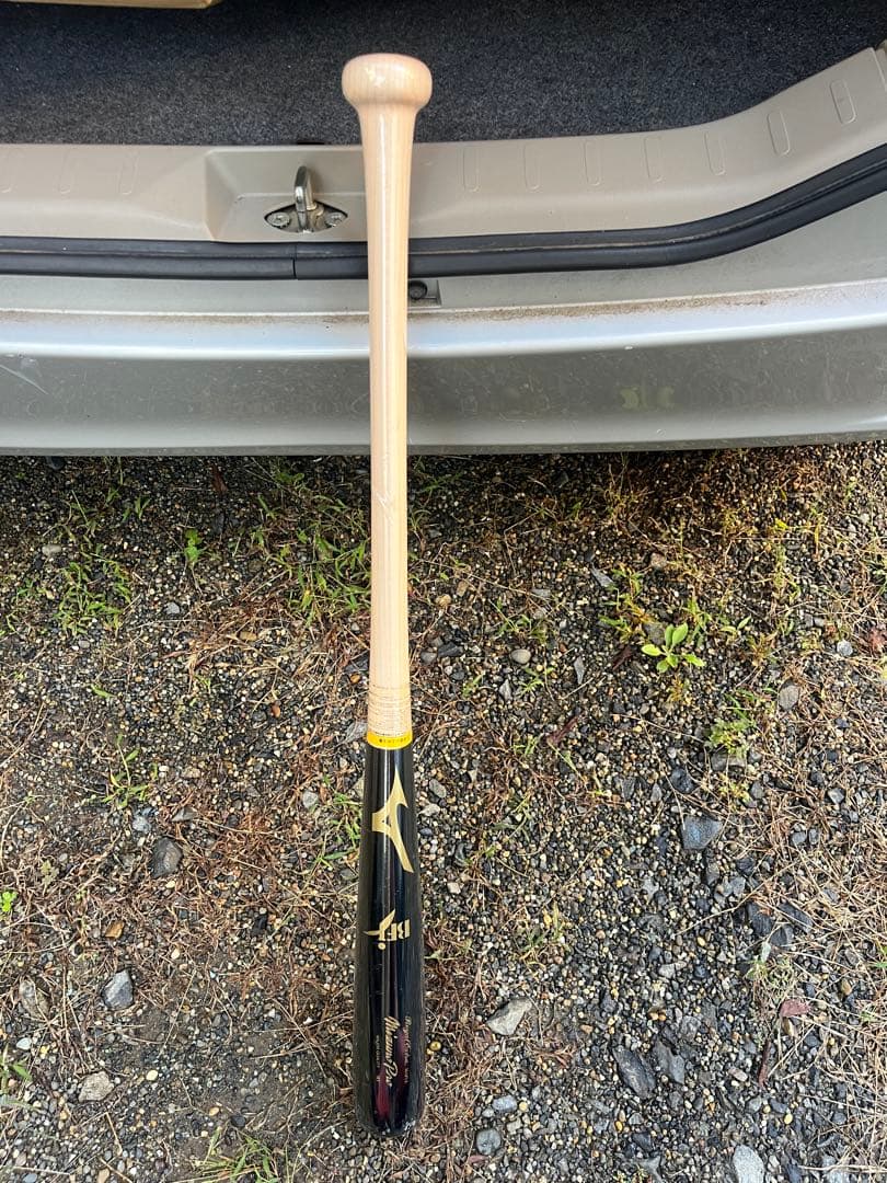 ミズノプロ 硬式木製バット TN型 1CJWH22500 TN03