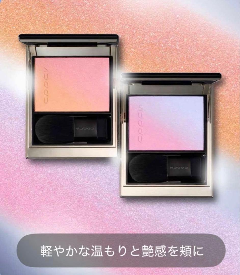 新品未使用】ブラーリング カラー ブラッシュ 113 冬織 オンライン限定