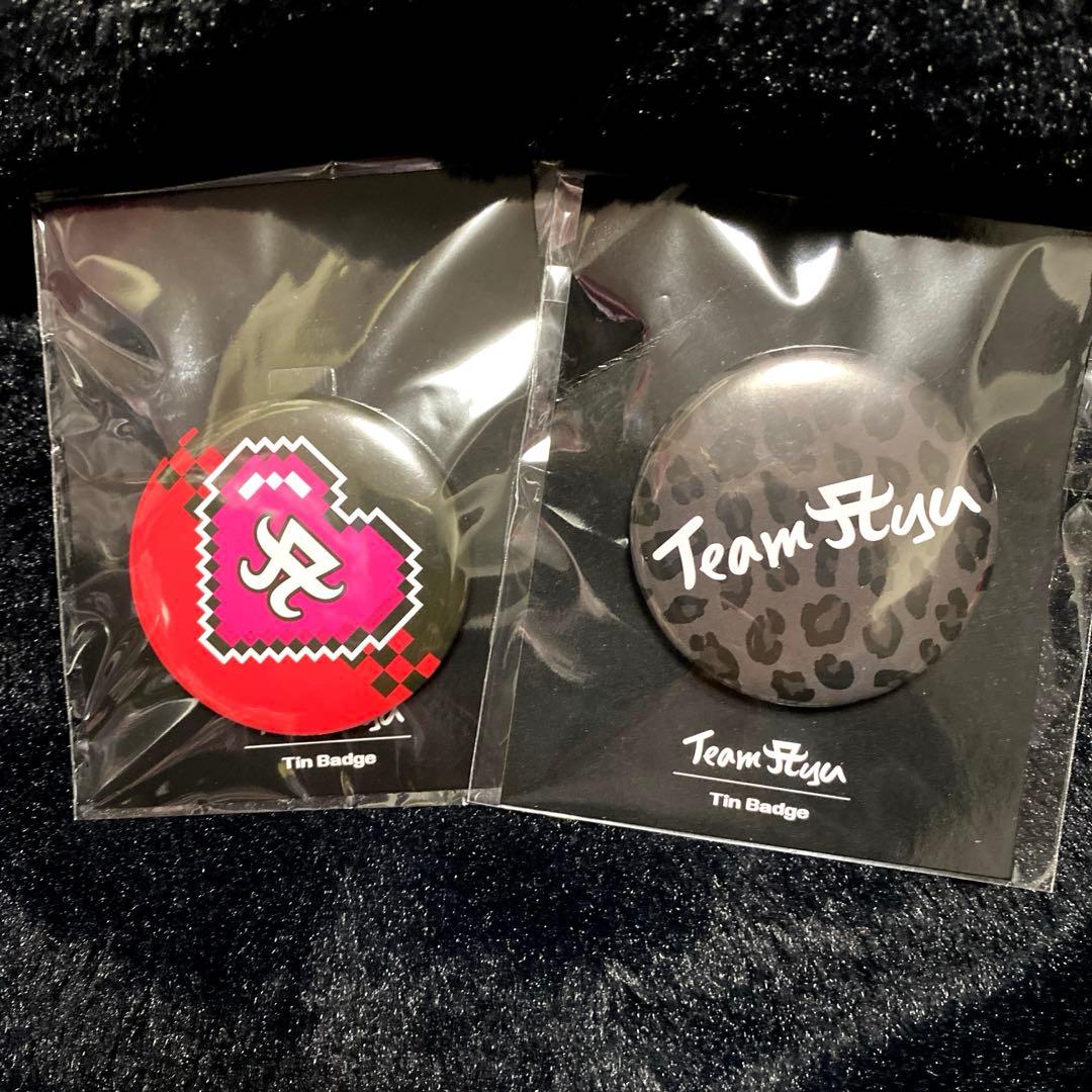 2個セット】浜崎あゆみ TeamAyuオリジナル缶バッジ - メルカリ