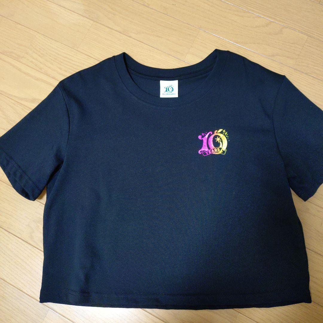 ミセス フィヨルド アニバーサリーTシャツ クロップド - メルカリ