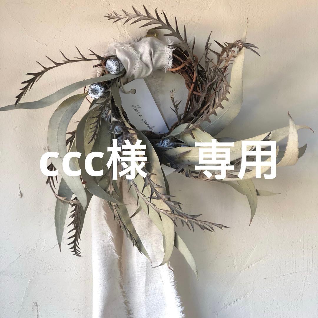 ccc　翌日発送　黒　36