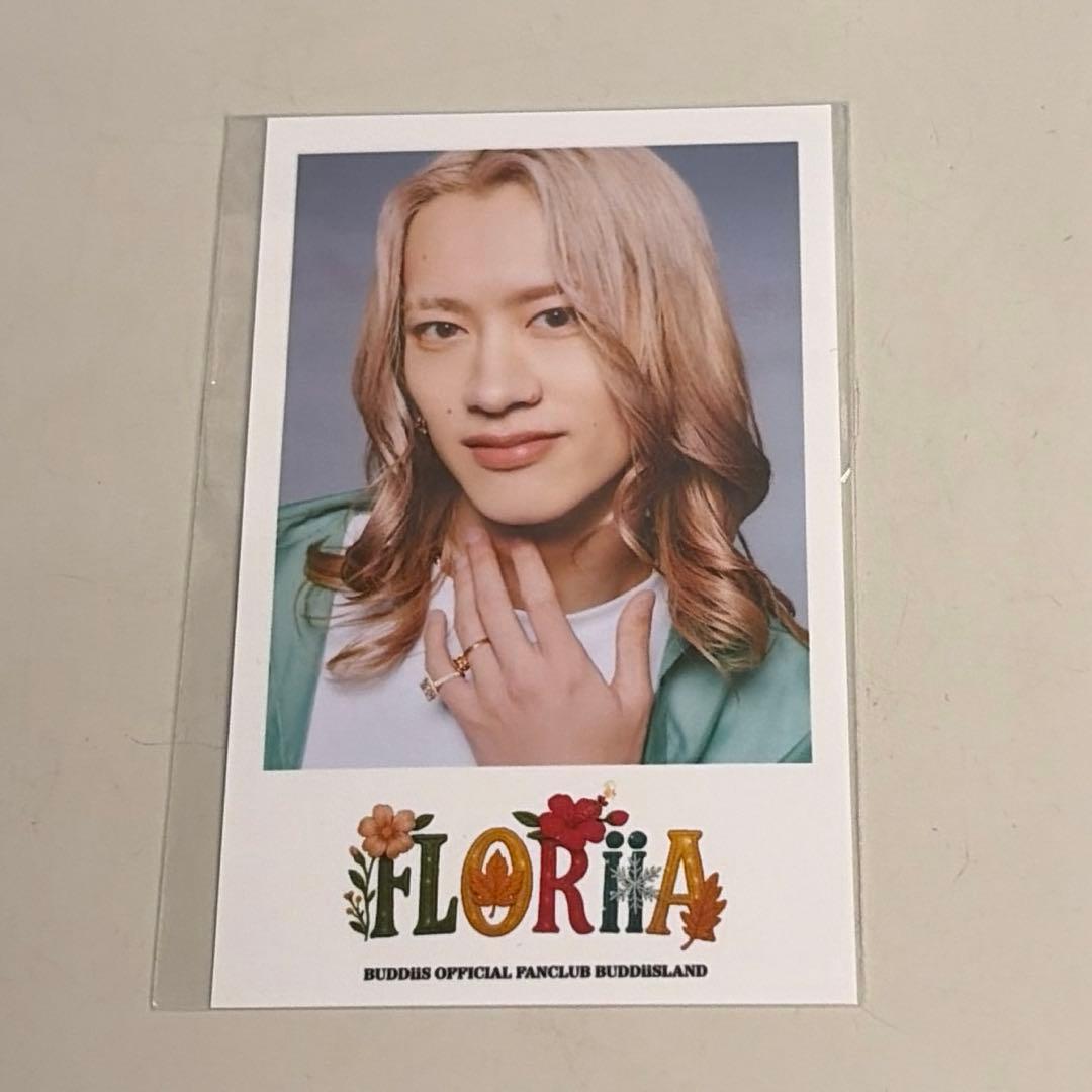 BUDDiiS MORRIE チェキ風ミニフォト - メルカリ