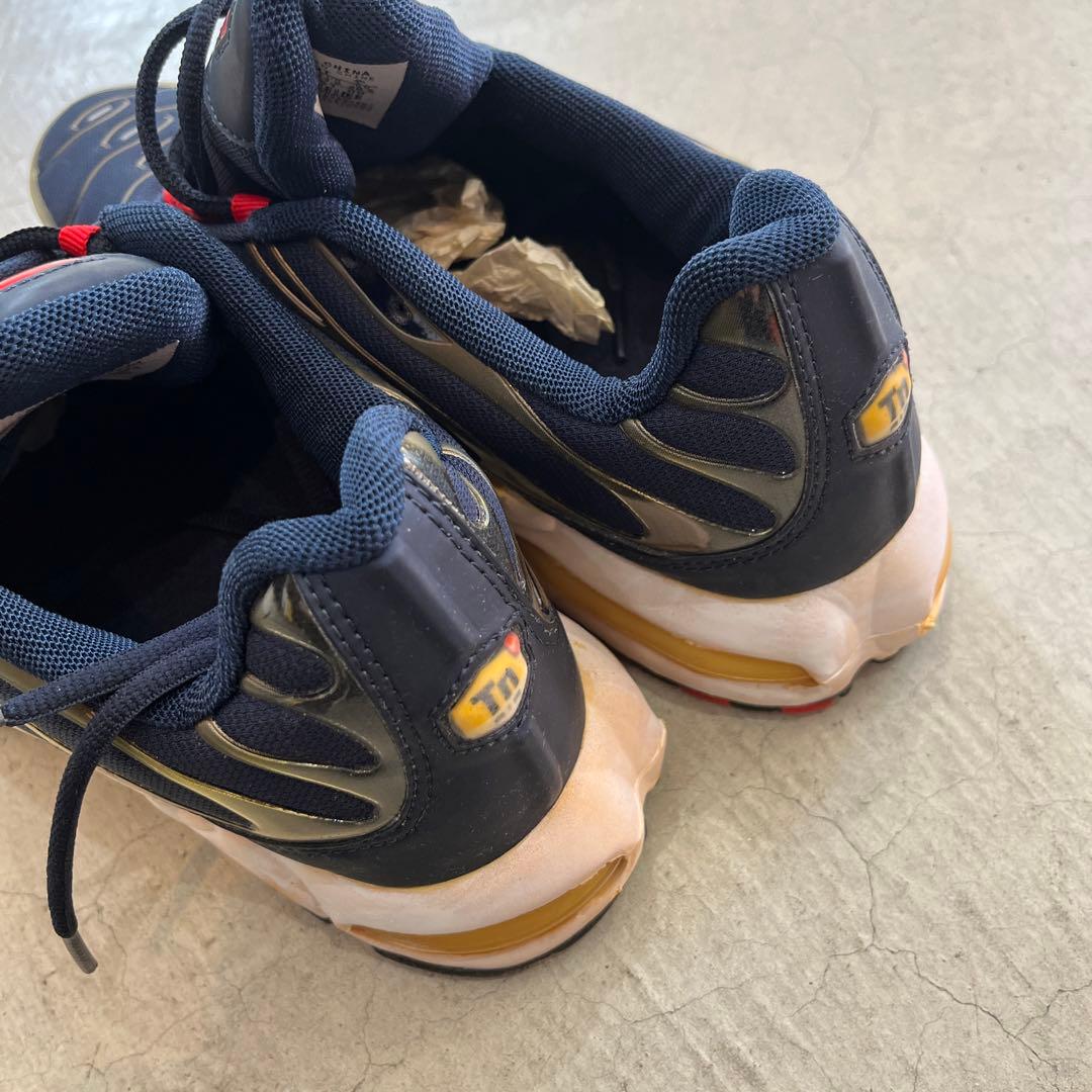 加水分解】ナイキ エアマックスプラス US10.5 ジャンク品 - メルカリ