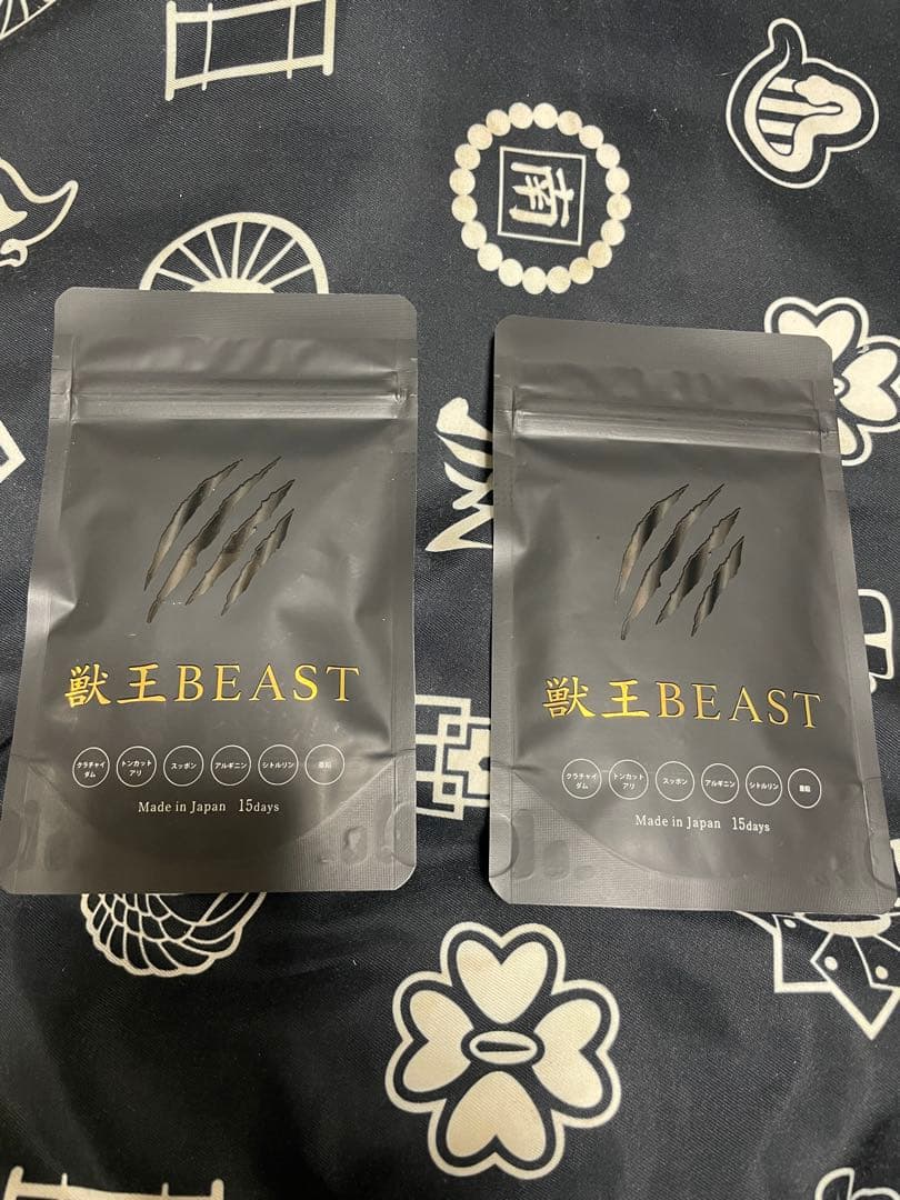 MTG敵対工作員Foil2枚セット