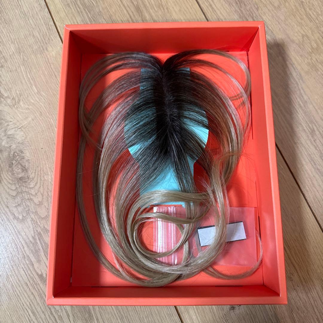 Choi+ トップエクステンション【アッシュゴールド】