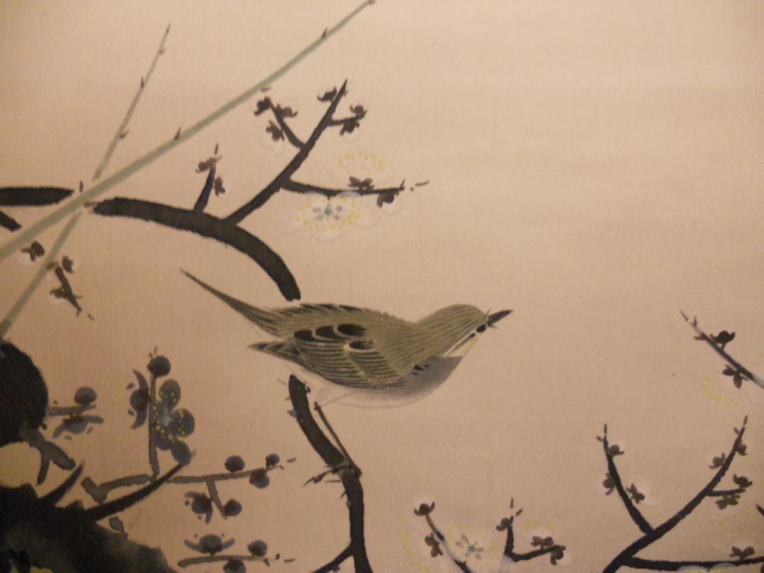 掛け軸 田村栄紀 梅 絹本 希少 軸装 茶道具 掛軸 美品 です。