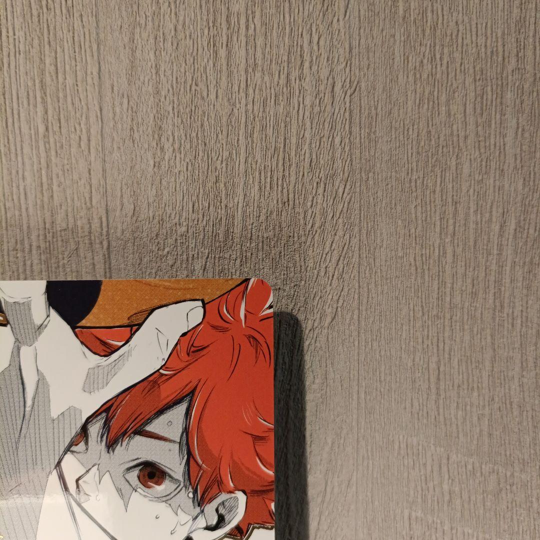 ハイキュー!!】 バボカ!! BREAK 日向翔陽 シリアル 極P - メルカリ