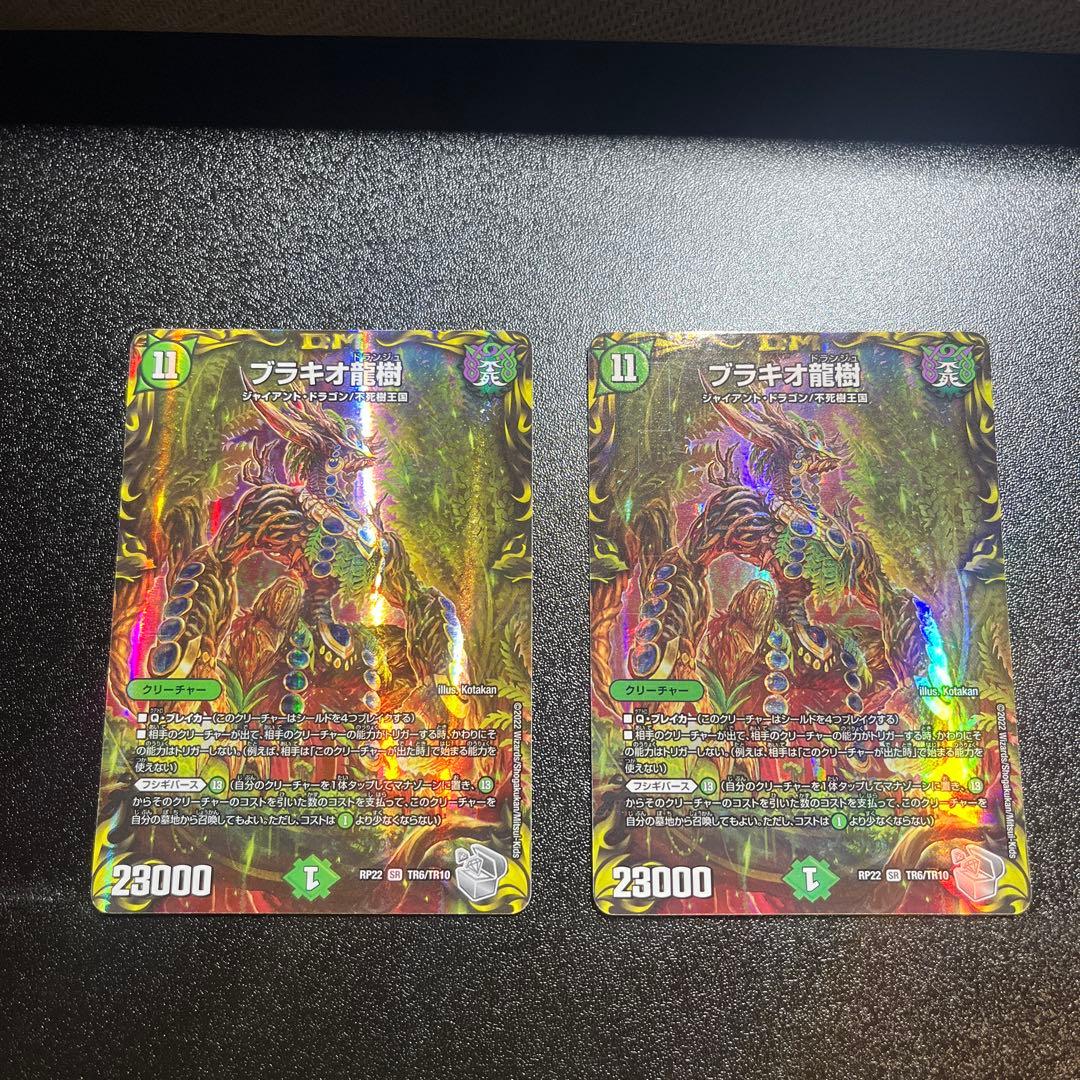 ブラキオ龍神 2枚セット