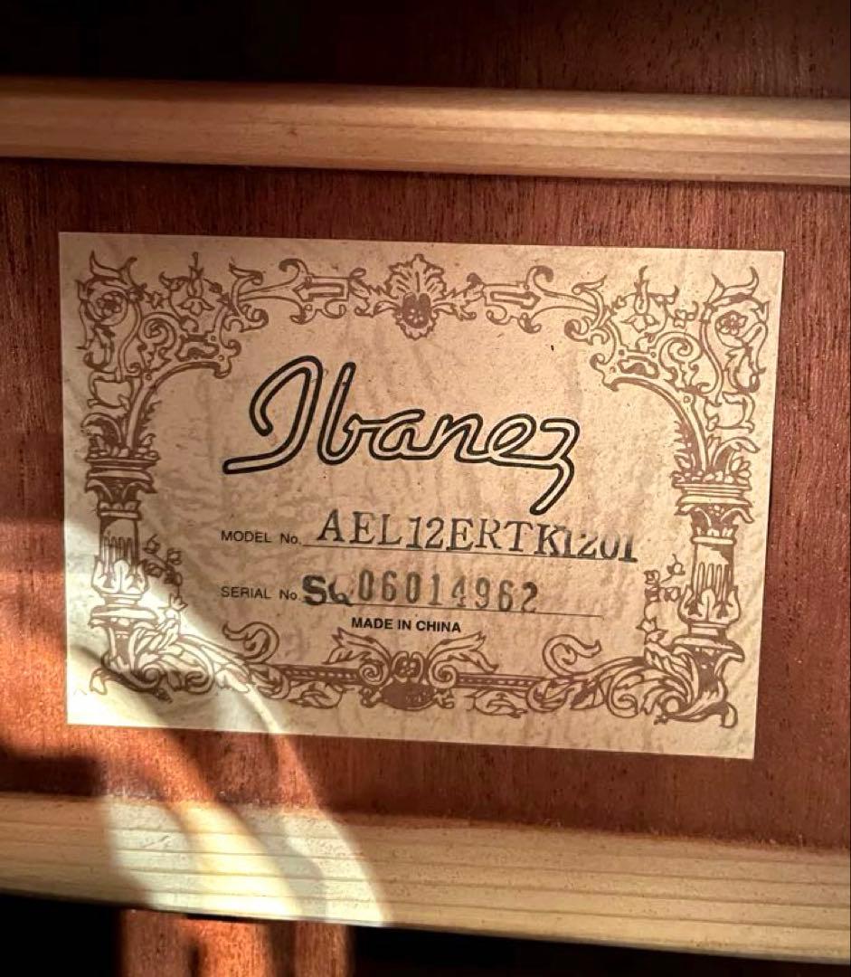 Ibanez AEL20E / AEL40SEジャンク ケース付 - メルカリ