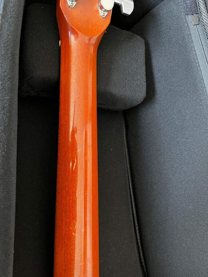 最終価格】ASTURIAS EC.current maple - メルカリ