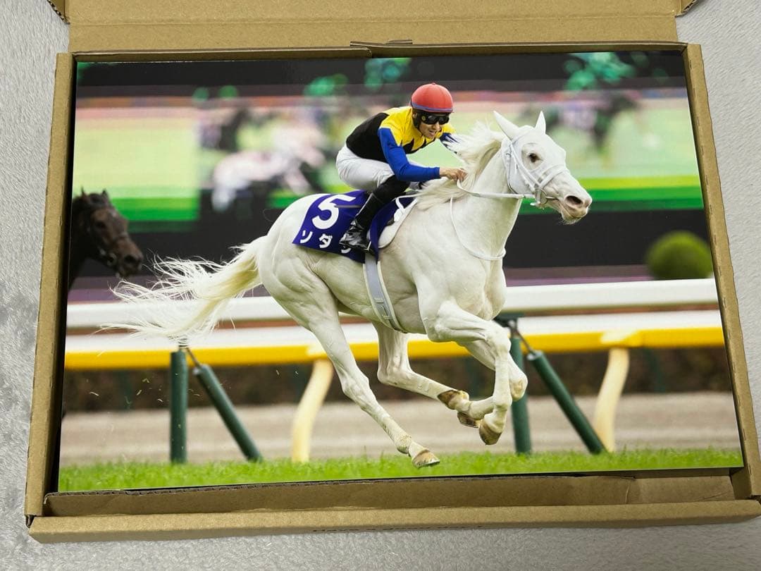 ソダシ パネル 2022 ヴィクトリアマイル ウォールデコ パネル G1