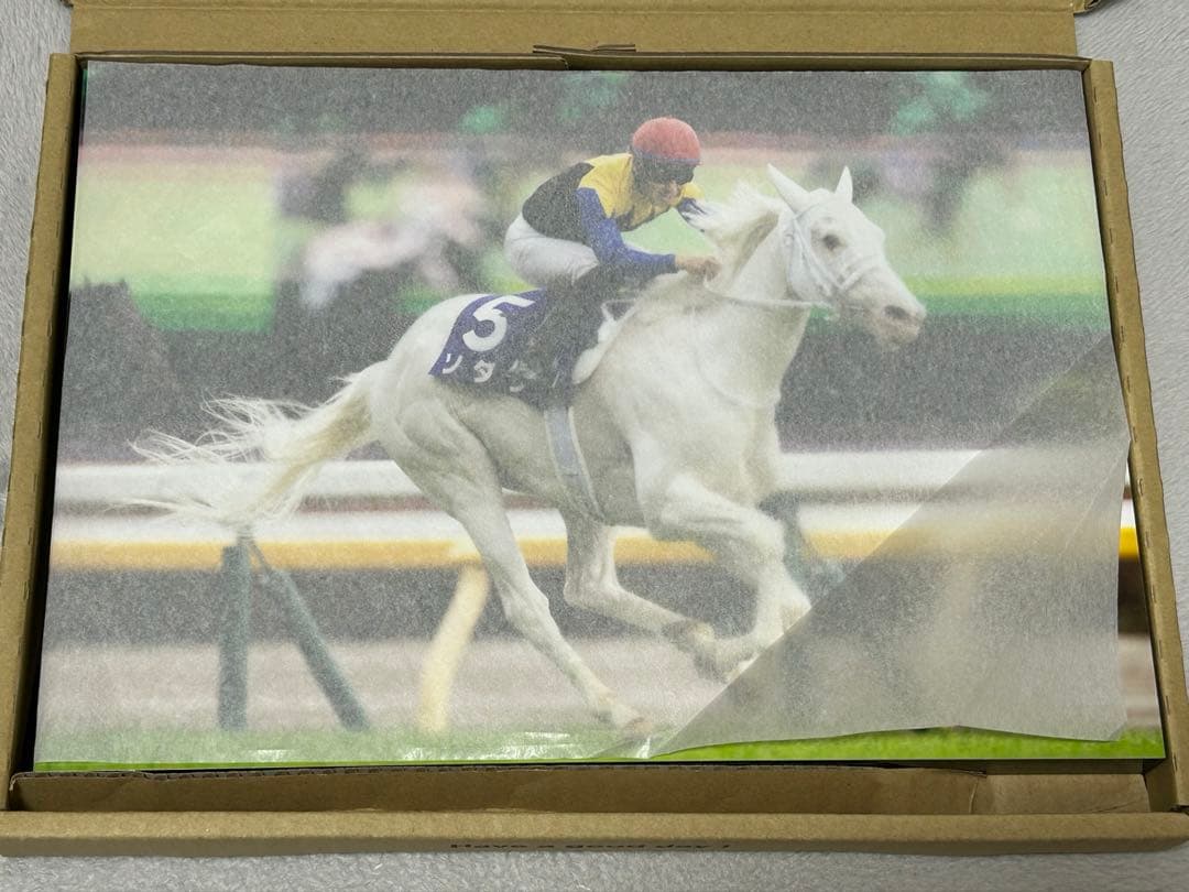 ソダシ パネル 2022 ヴィクトリアマイル ウォールデコ パネル G1