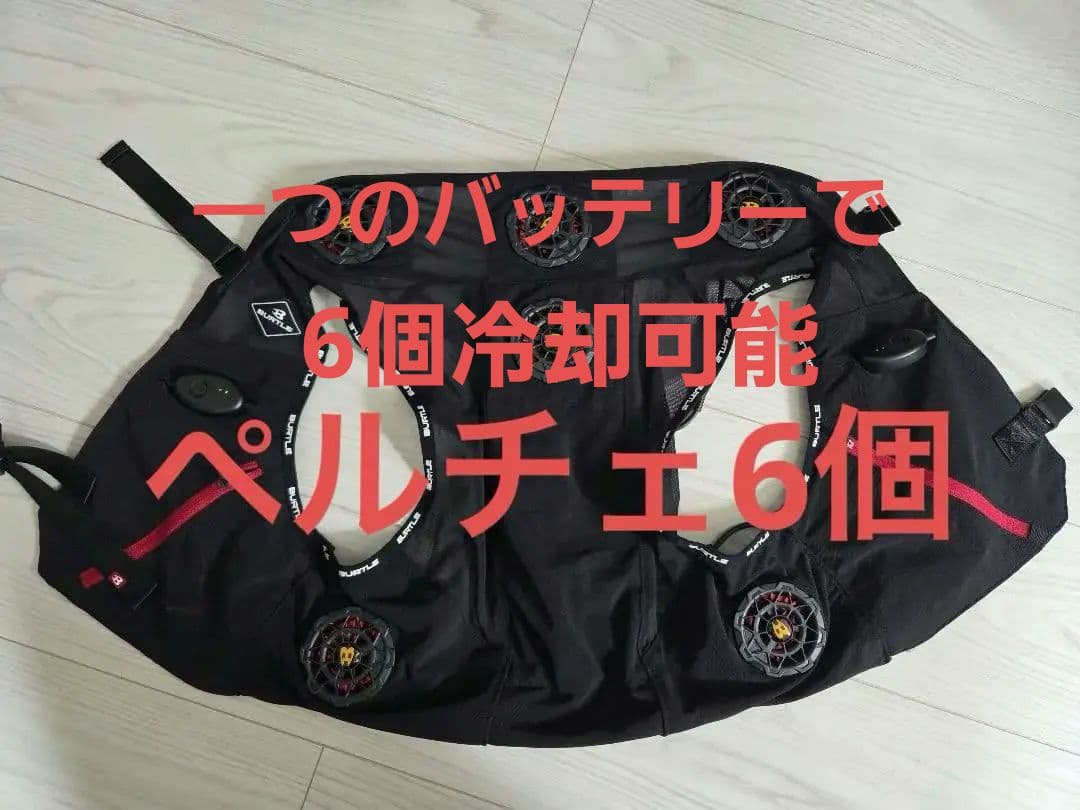 【本日まで】BURTLE　アイスクラフト　ペルチェ6個　F Size