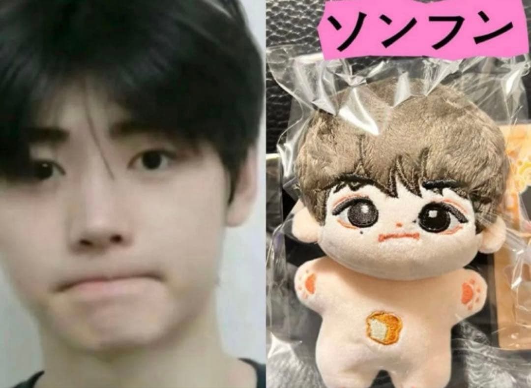 ENHYPENぬいぐるみ ソンフン 10センチ マスター 正規品⭐️「195