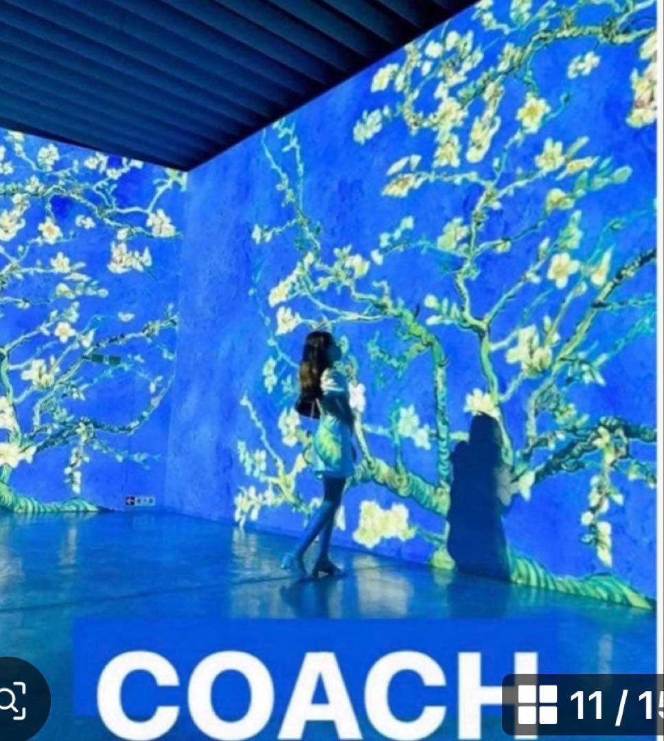 COACH長財布シグネチャーデニムジャガード.ストライブブルー男女兼用