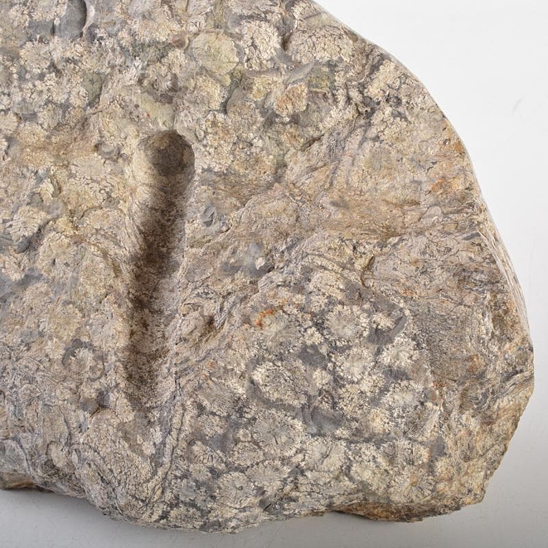 天然石 鑑賞石 梅花石 置物 重さ約4kg V R6551 - メルカリ