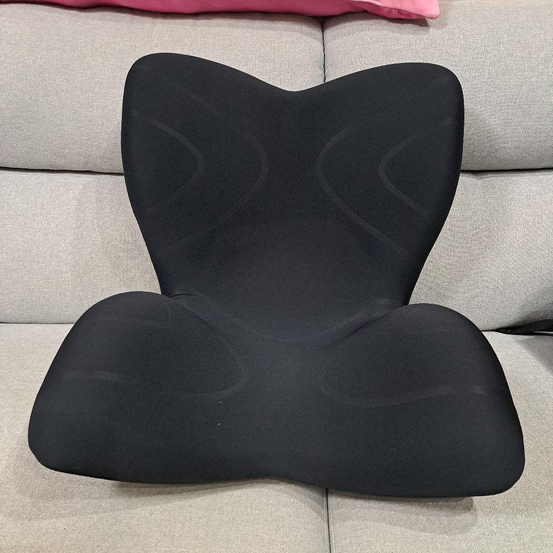 Style PREMIUM　姿勢矯正　クッション