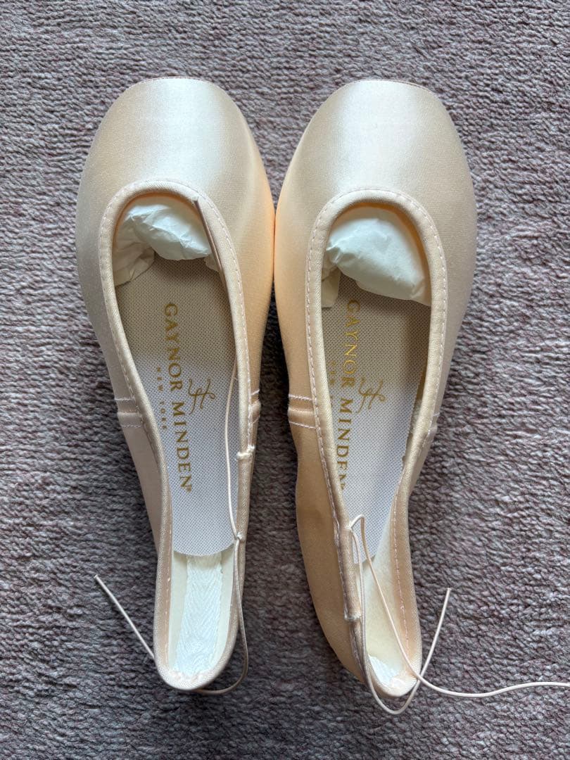 ゲイナーミンデントウシューズ　SK-8.5N4XDL