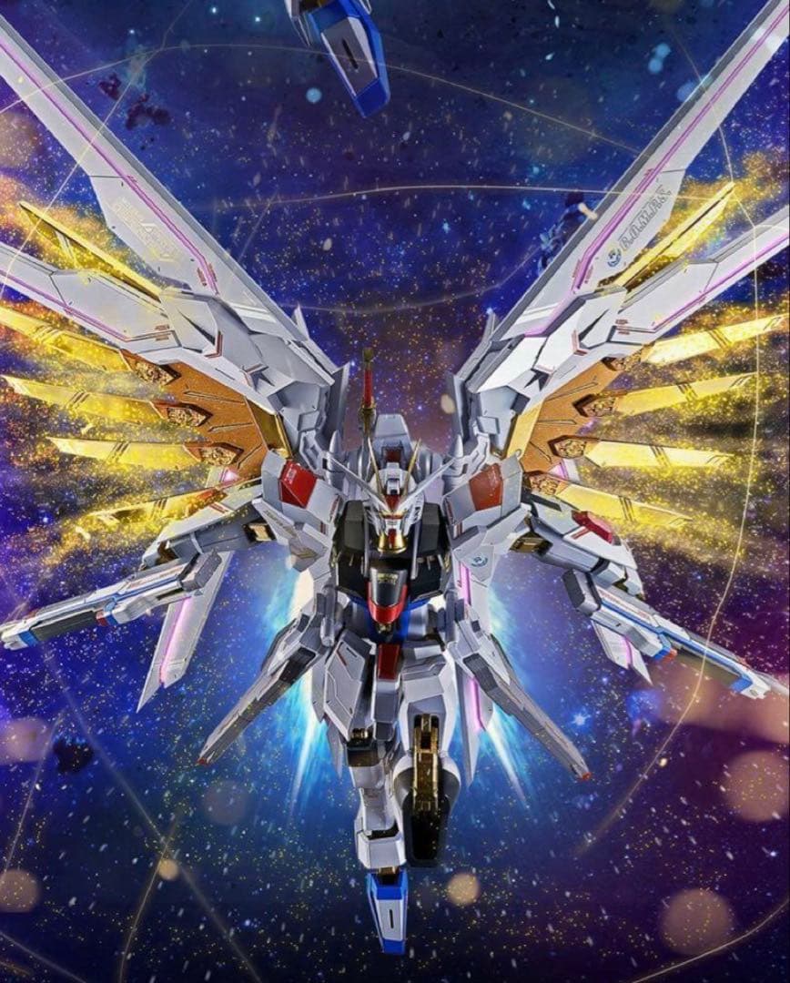 メタルロボット魂ストライクフリーダム弐式　& プラウドディフェンダーセット