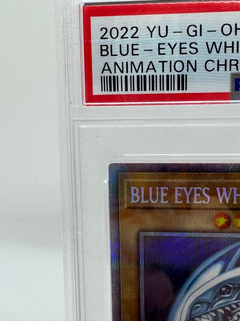 SHAMATAILOR-#81 ［完美品］PSA10 ブルーアイズホワイトドラゴン 英語