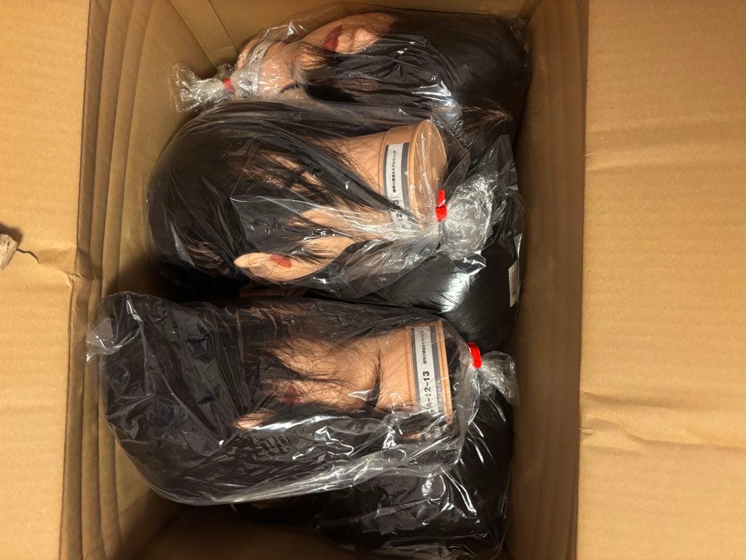 美容師国家試験 実技試験用ウィッグ 標準仕様適合モデル24-12-13 5セット