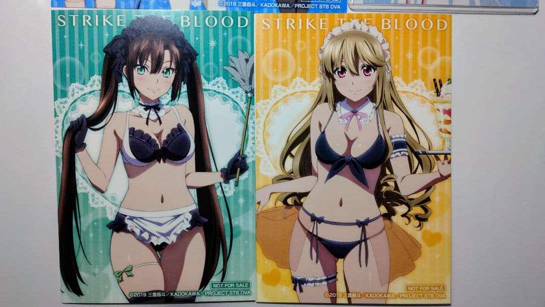 ストライク・ザ・ブラッド 姫柊雪菜 藍羽浅葱 煌坂紗矢華 ポストカード
