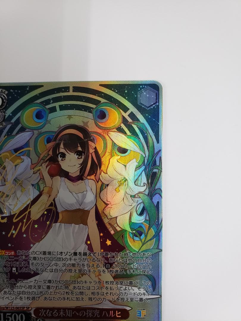 WS 次なる未知への探究 ハルヒ SP サイン - メルカリ