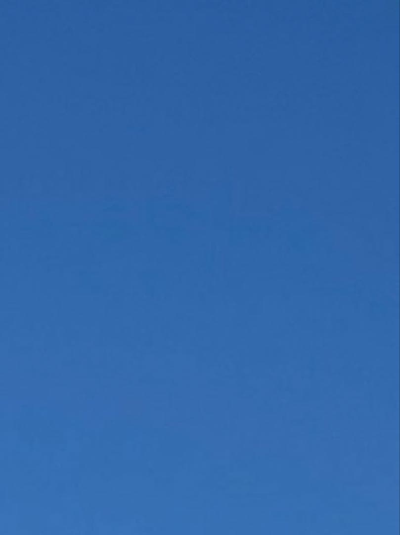 ぬいぐるみ・マスコット mitu